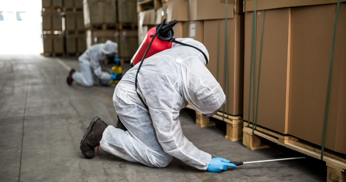 plan de lutte contre les nuisibles méthode et tarifs des prestations